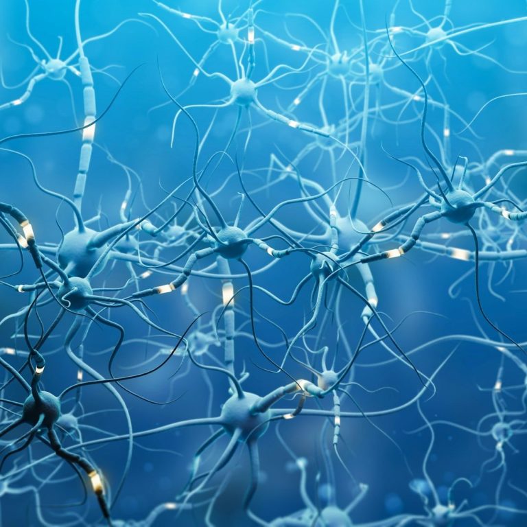 Symbolique neuro Neurones stylisés connectés sur un fond bleu, symbolisant le réseau nerveux.